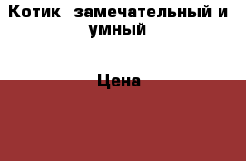 Котик  замечательный и умный › Цена ­ 1 000 - Хабаровский край, Хабаровск г. Животные и растения » Кошки   . Хабаровский край